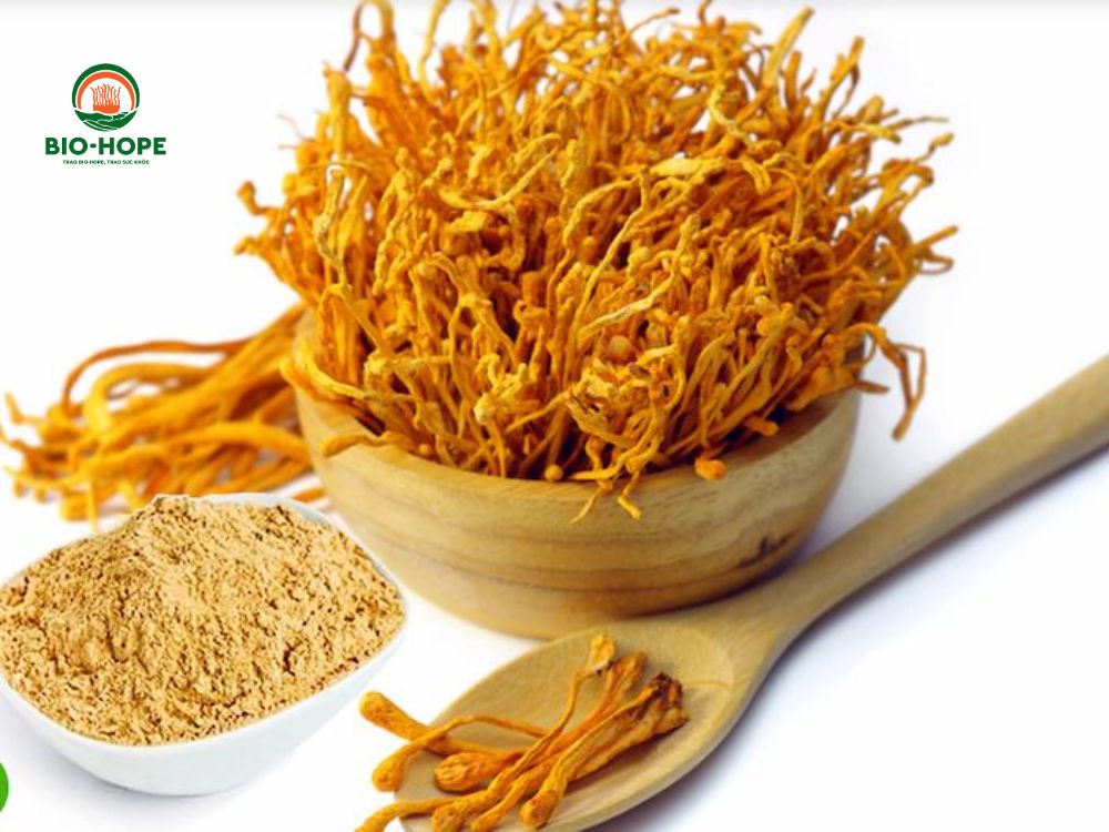 Công dụng, lợi ích